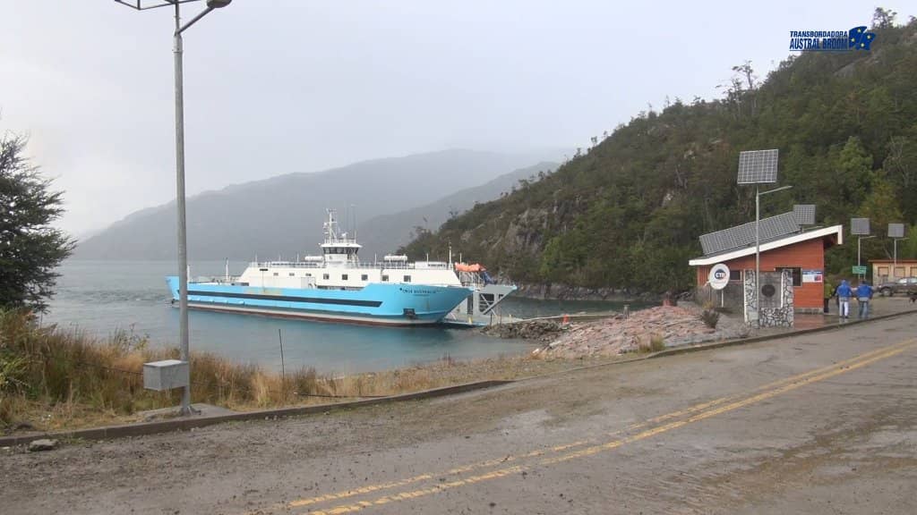 Dolphin & Wildlife Sightings