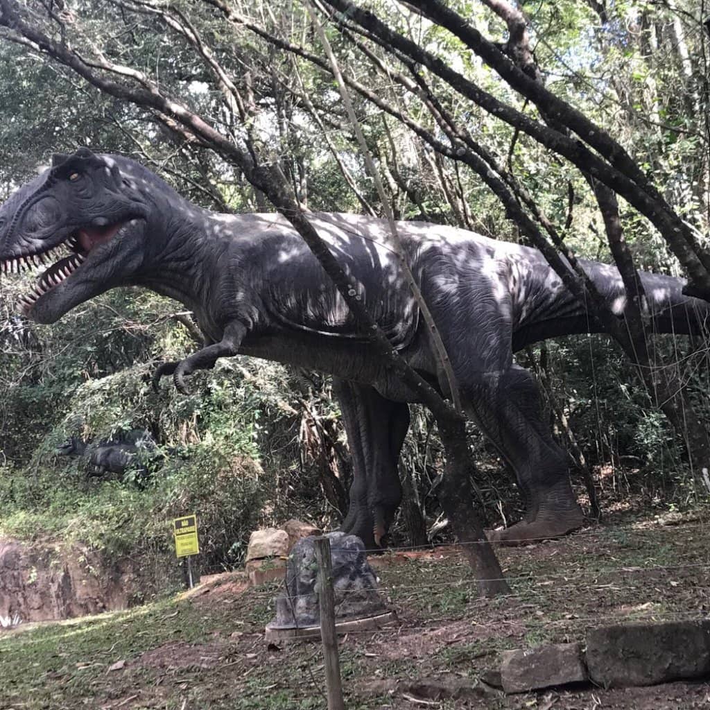 Kid-Friendly Playground