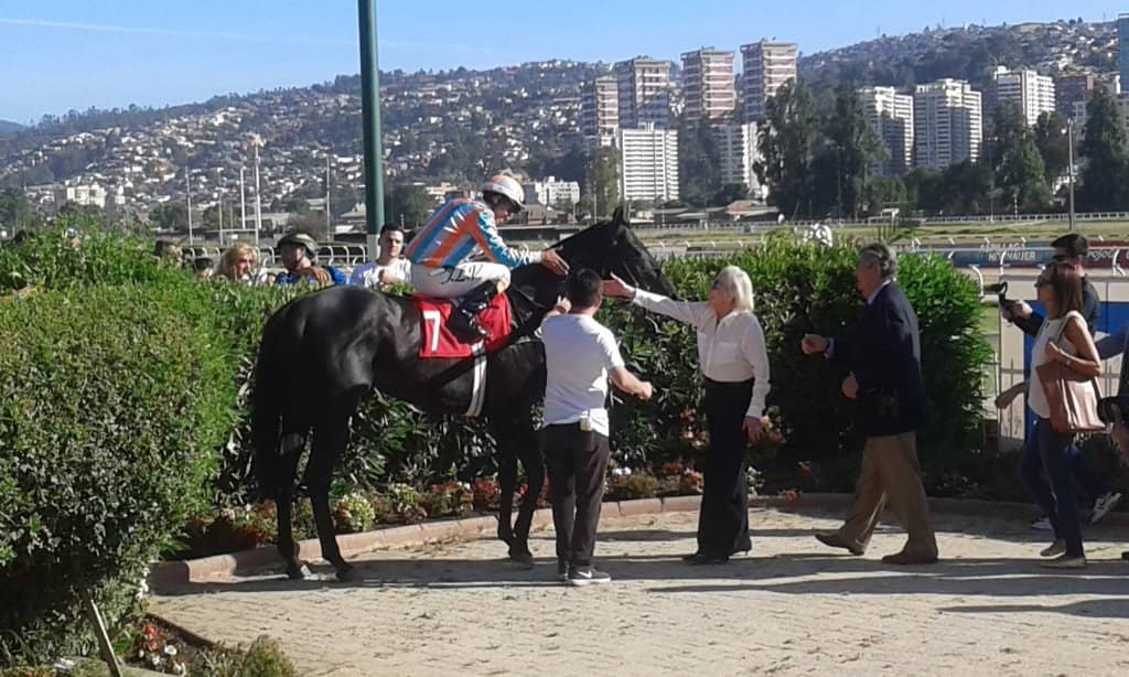 Large-Scale Night Events