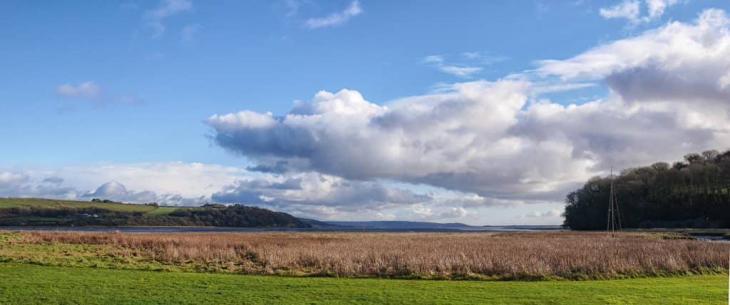 Estuary Views
