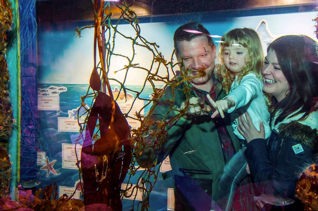 Scottish Marine Life Displays