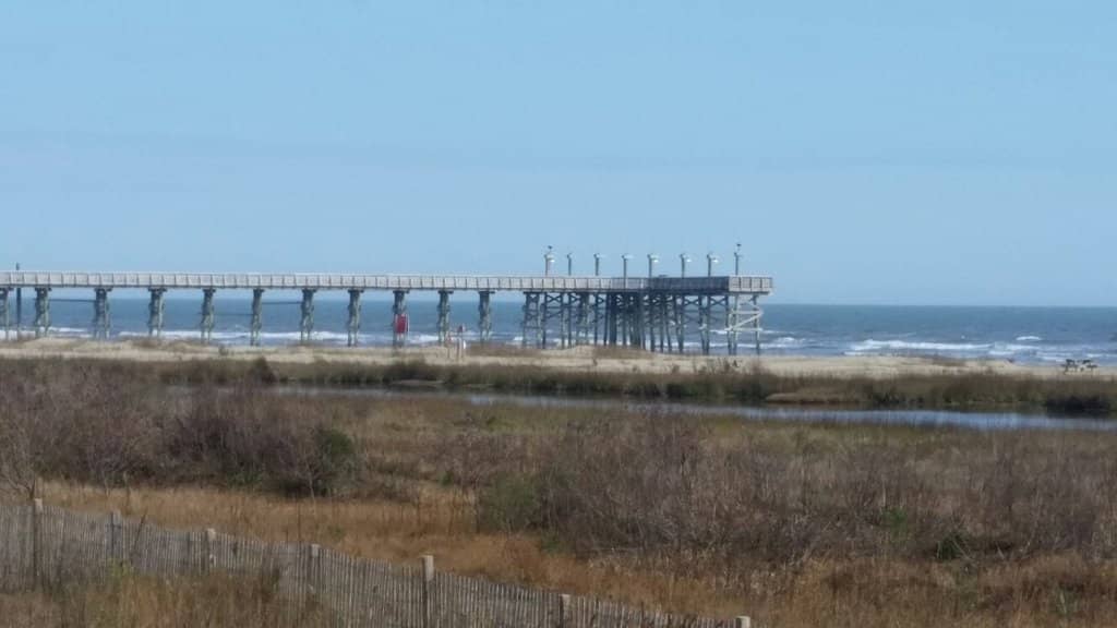 Nature Center & Programs