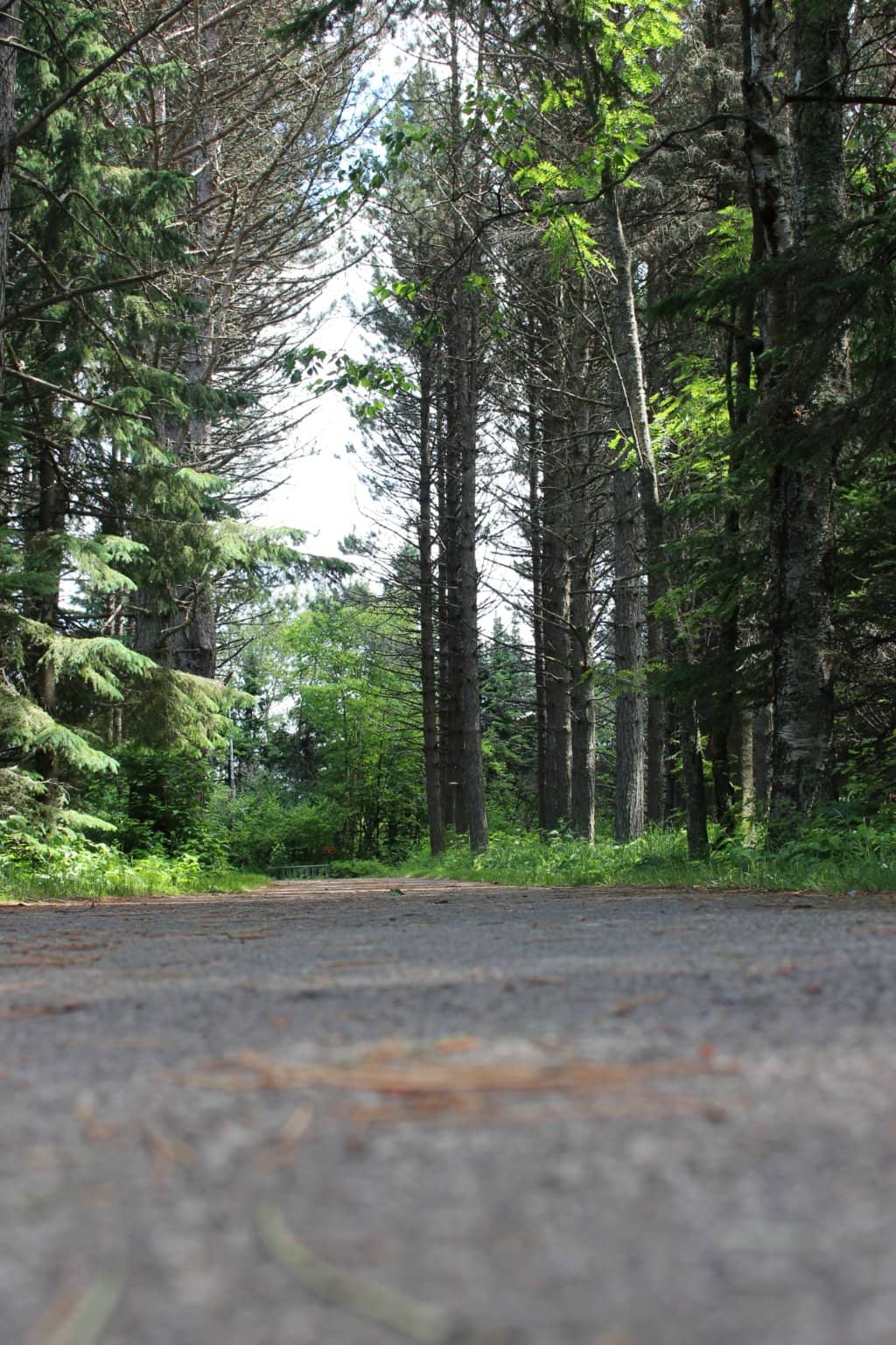 Temperance River State Park