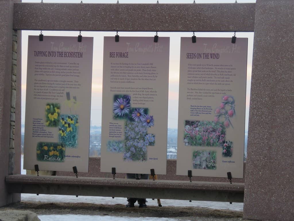 Expansive Off-Leash Dog Park