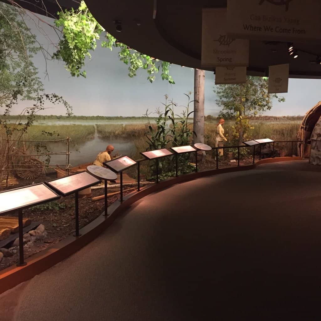 Rotating Exhibits