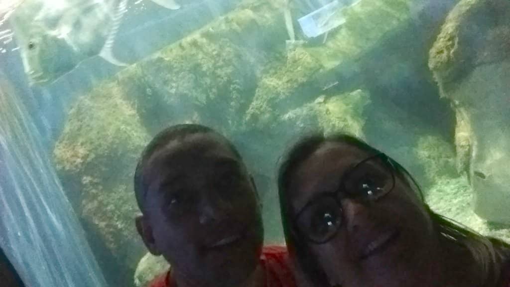 Biodiversity Spotting