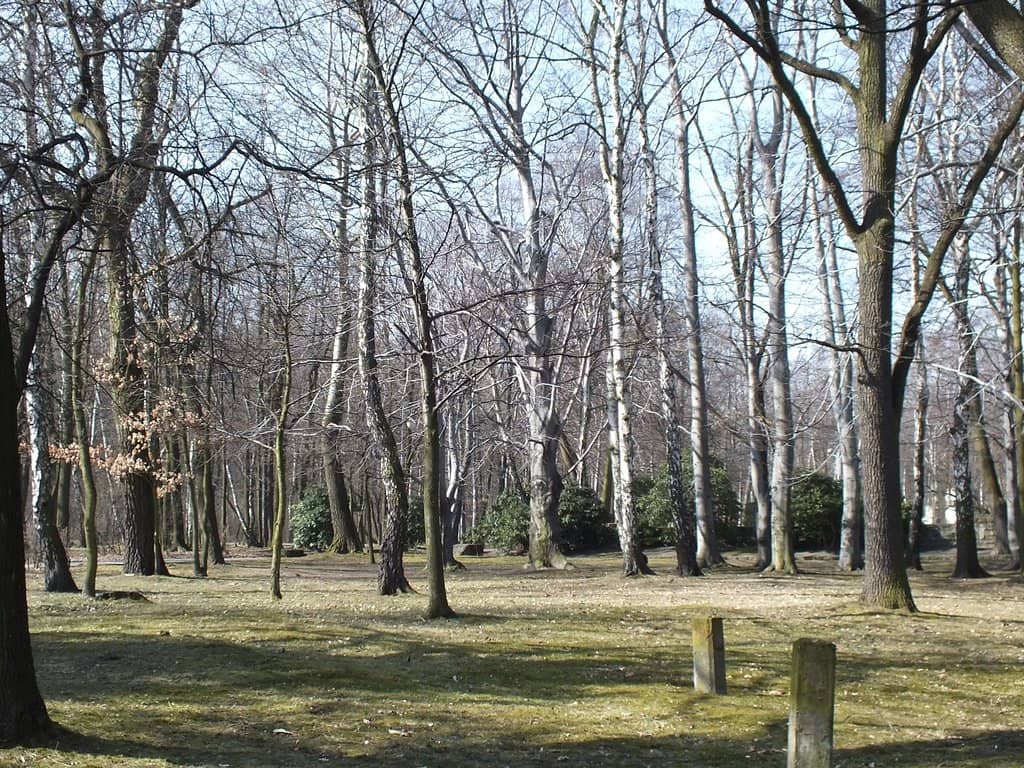 Kościuszko Mound Park