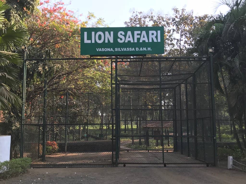 Family-Friendly Outing