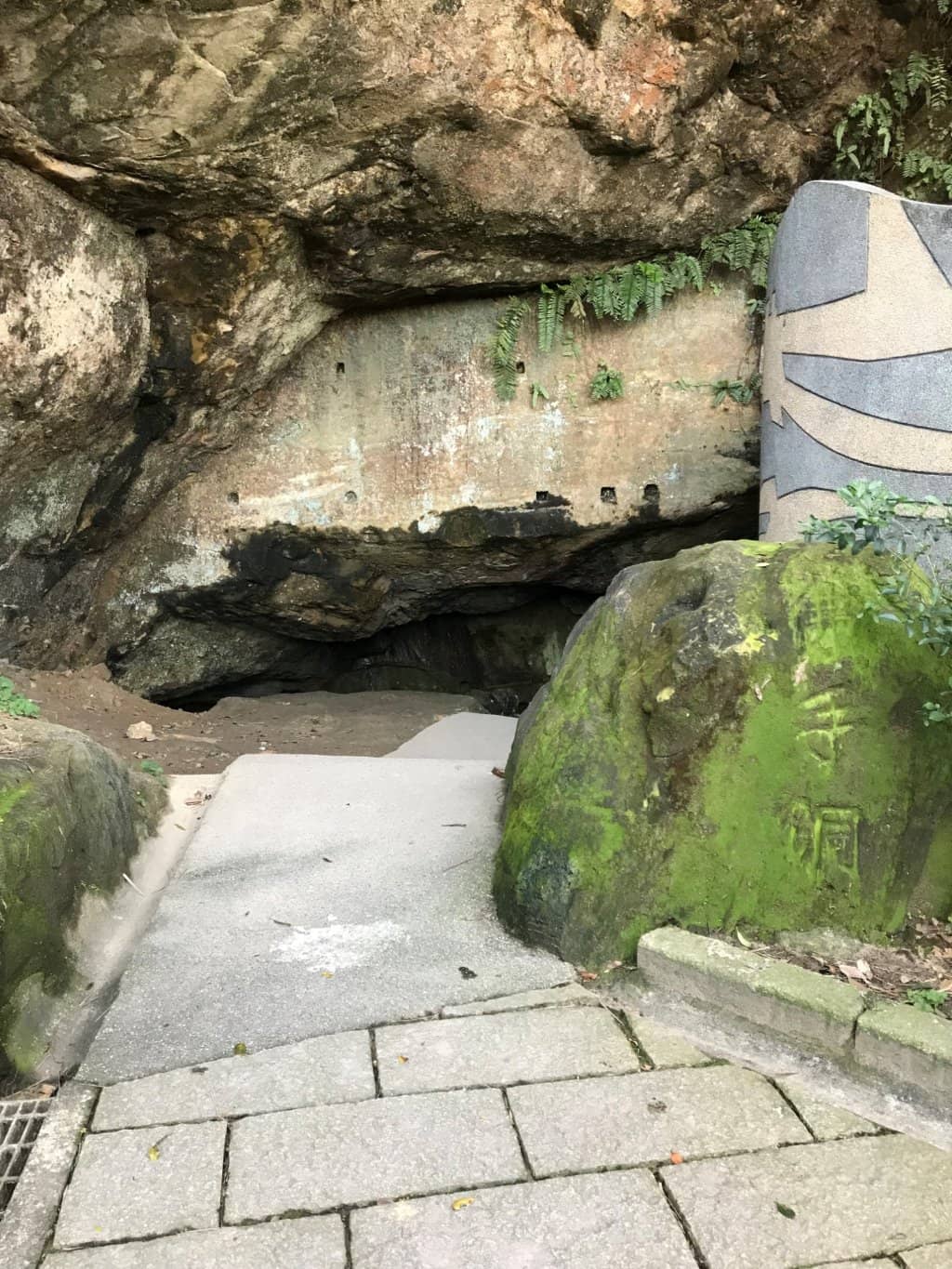 Tranquil Mini Garden