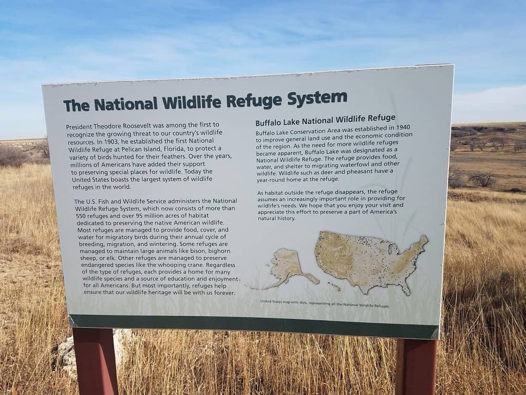 Wildlife Viewing Opportunities