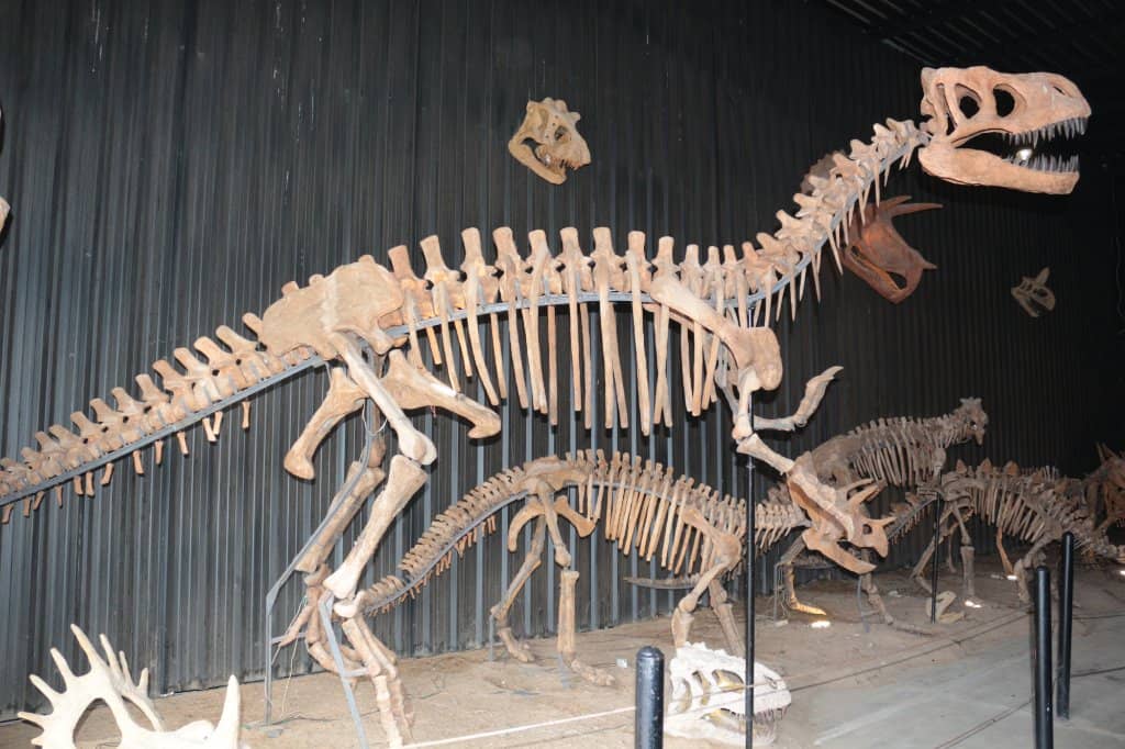 Dinosaur Park