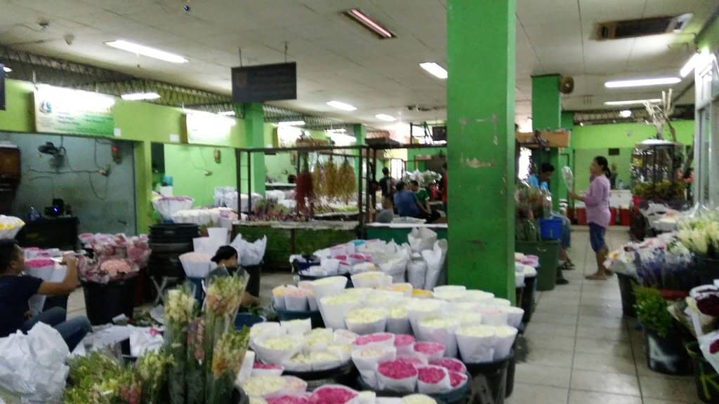 Orchid Paradise