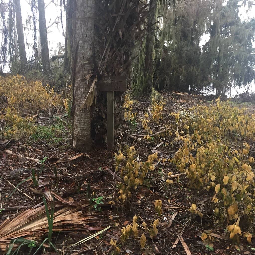 Bank Fishing Spots