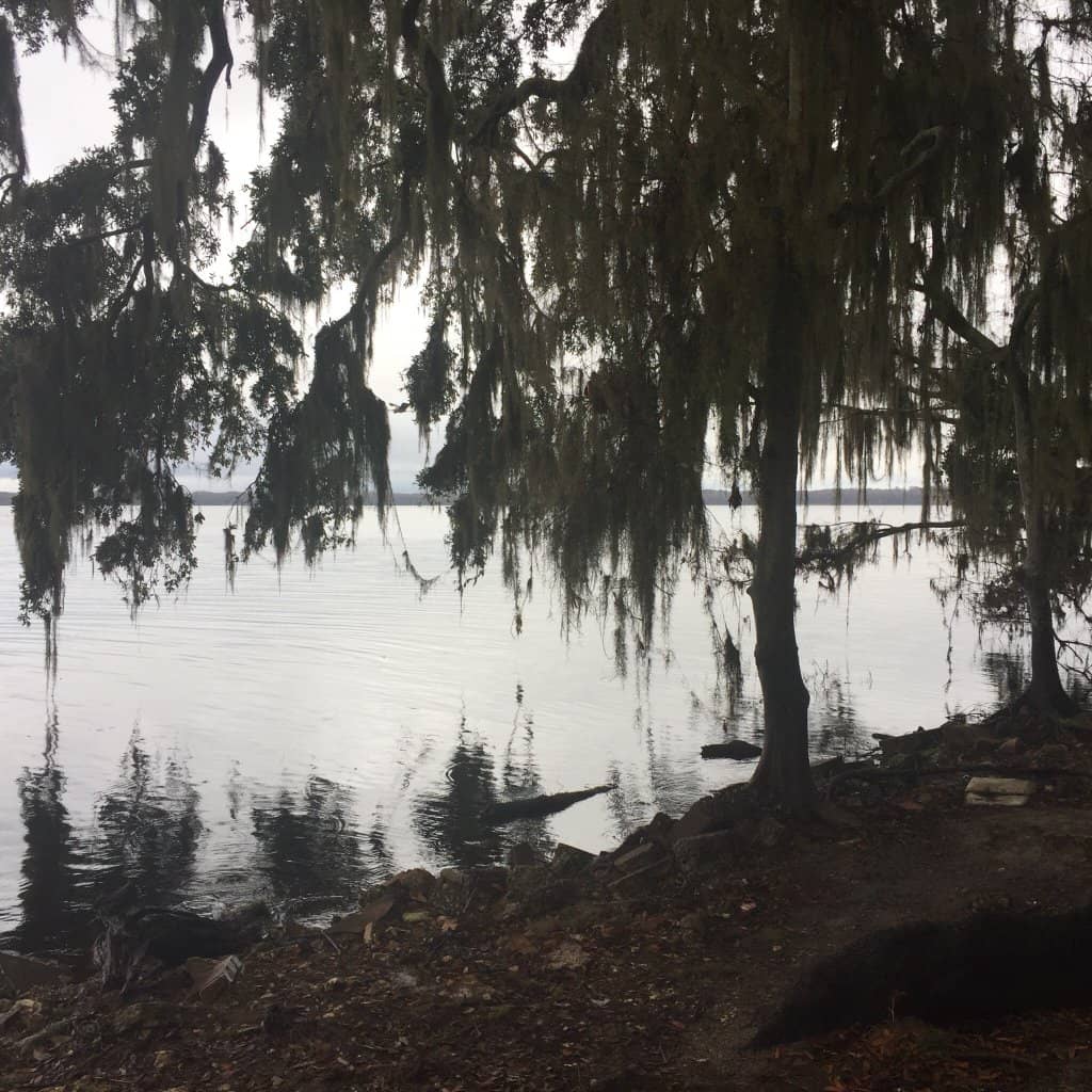 Shaded Walking Trails