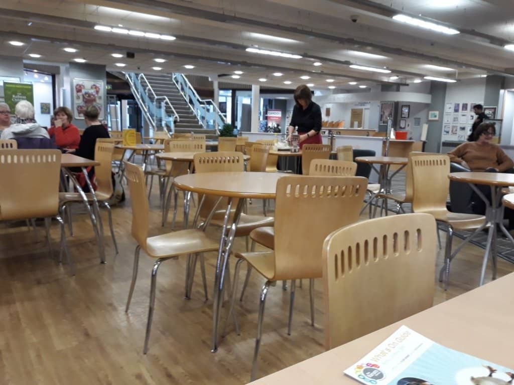 Local Talent Showcases