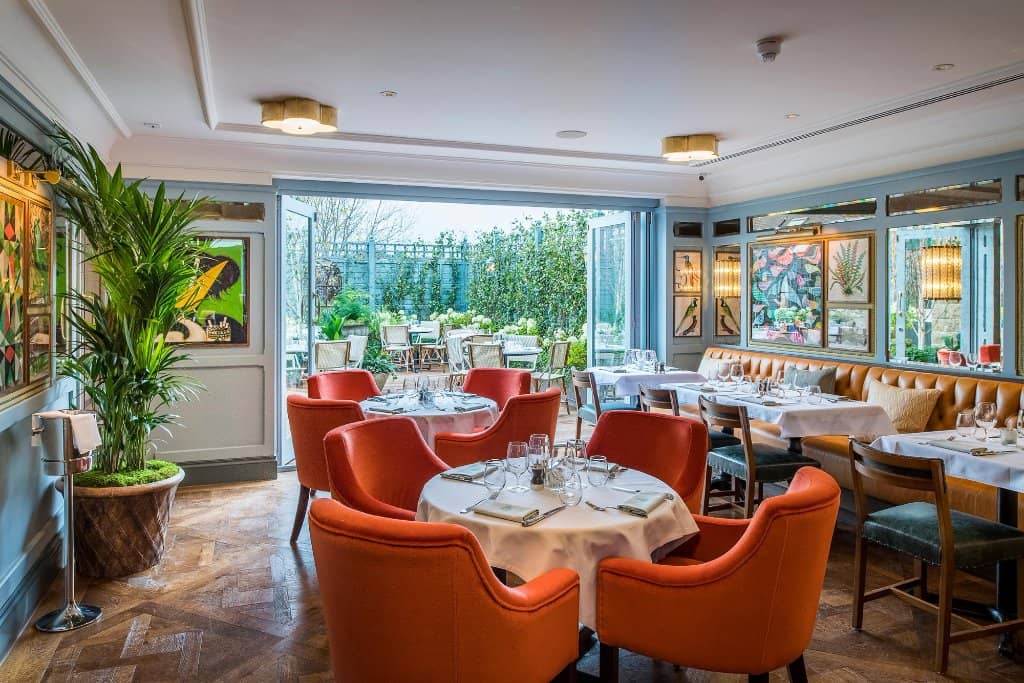 Elegant Atmosphere & Decor