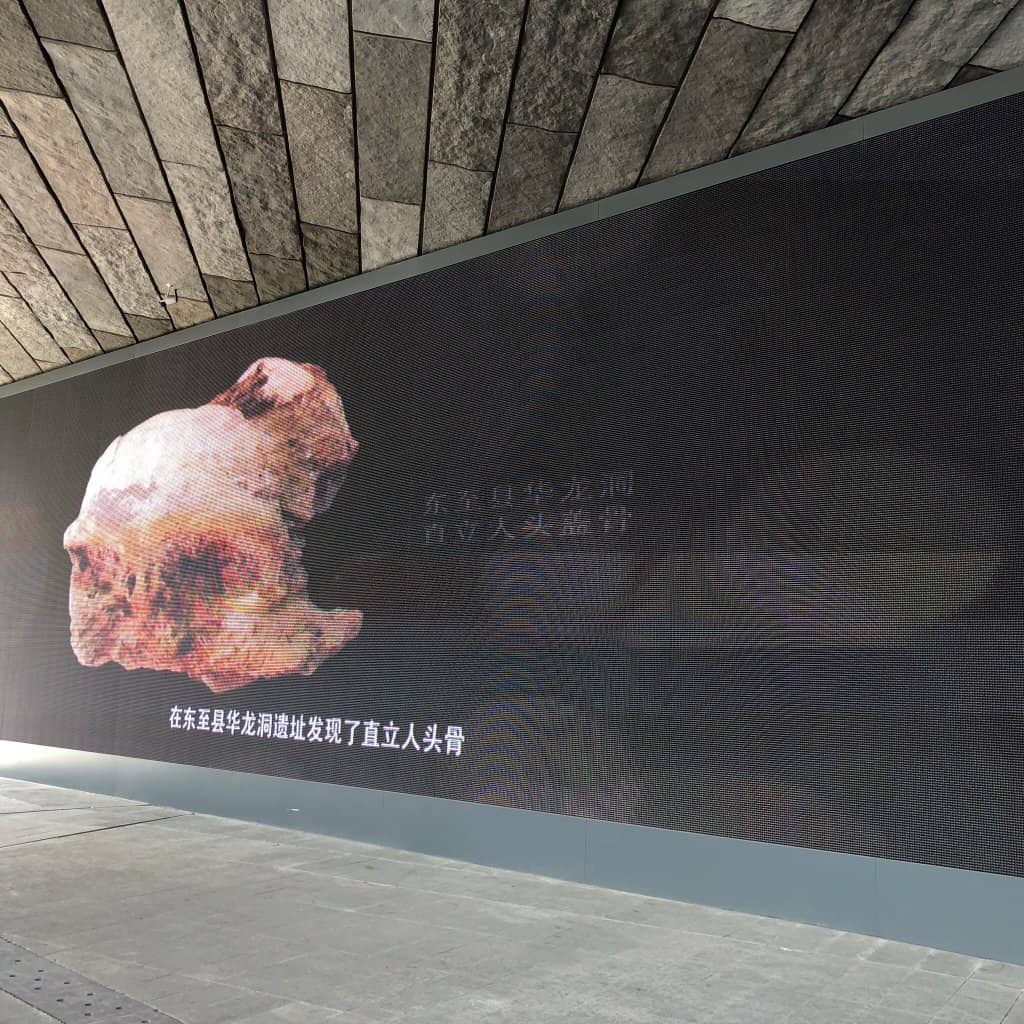 Earth Science Exhibits