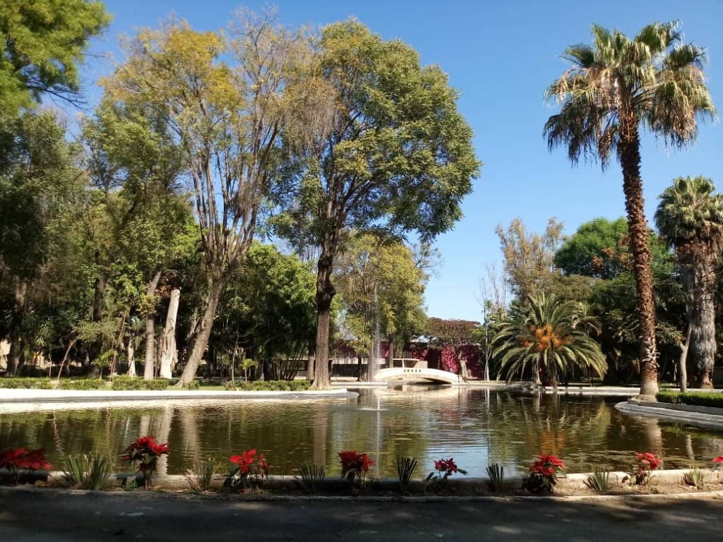 Aviary & Butterfly Enclosure