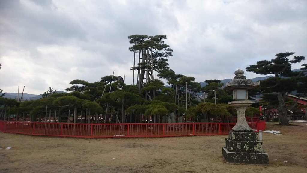 Lake Biwa Views