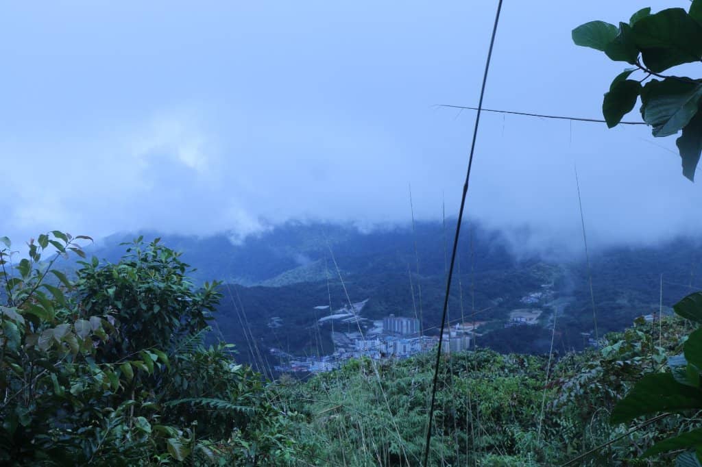 Varied Jungle Trails