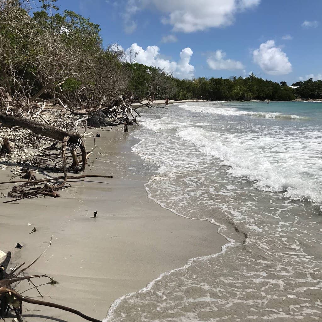 Snorkeling Potential