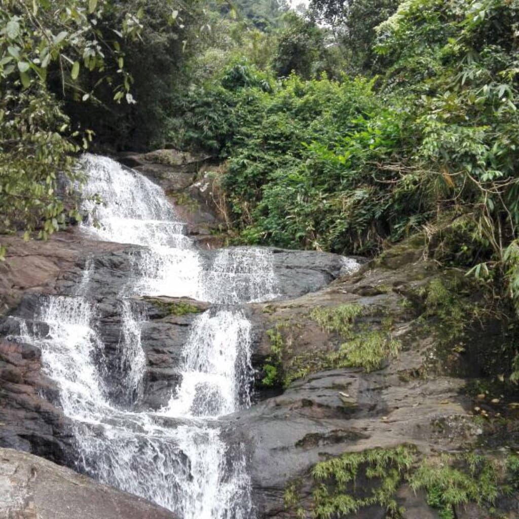 Periyar Lake Boat Cruise