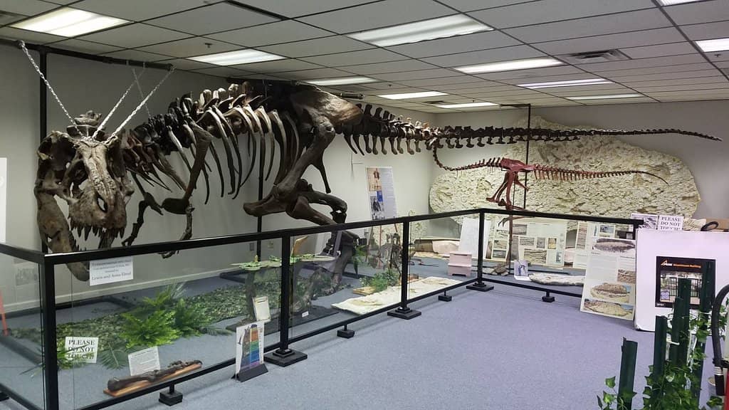 Paleontology Lab