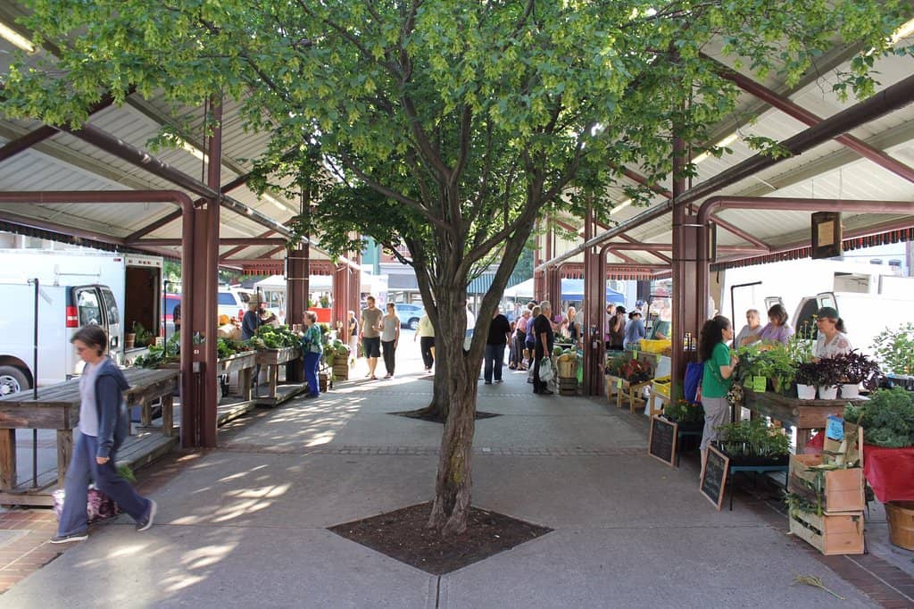 Local Food Vendors