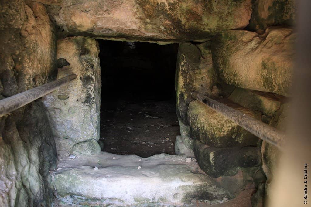 The Collective Tomb
