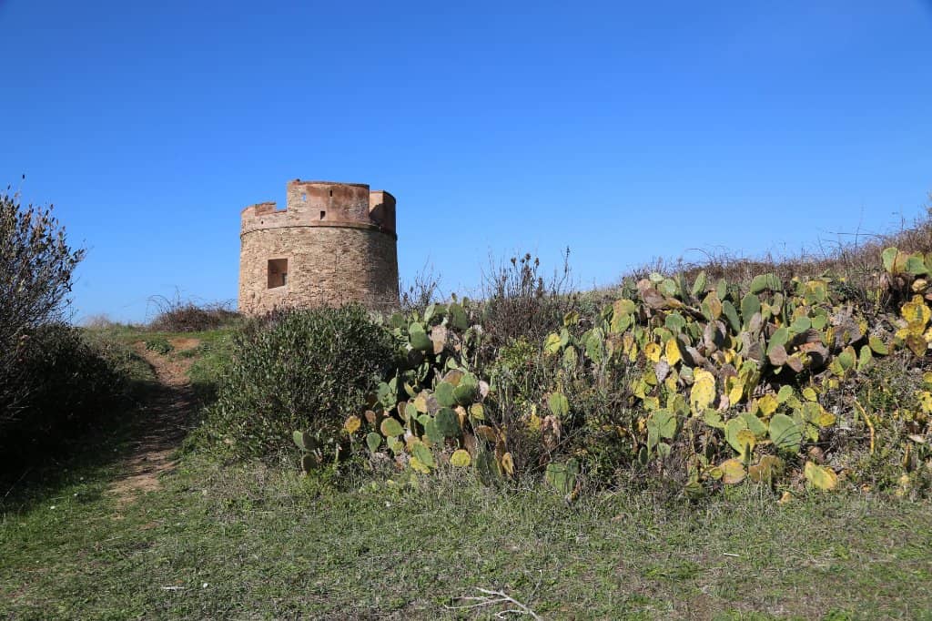 Coastal Cliffs and Sea