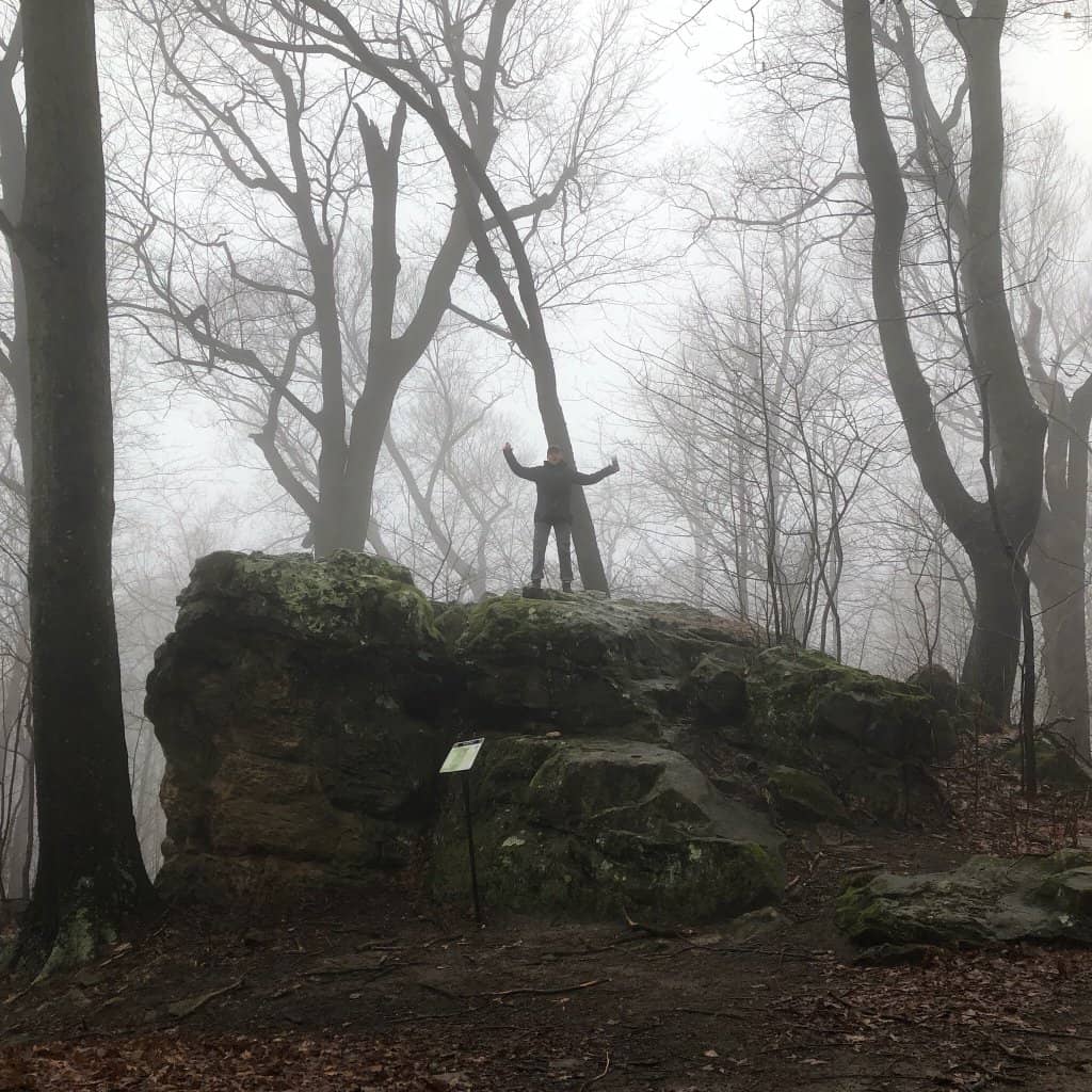 Disc Golf Course
