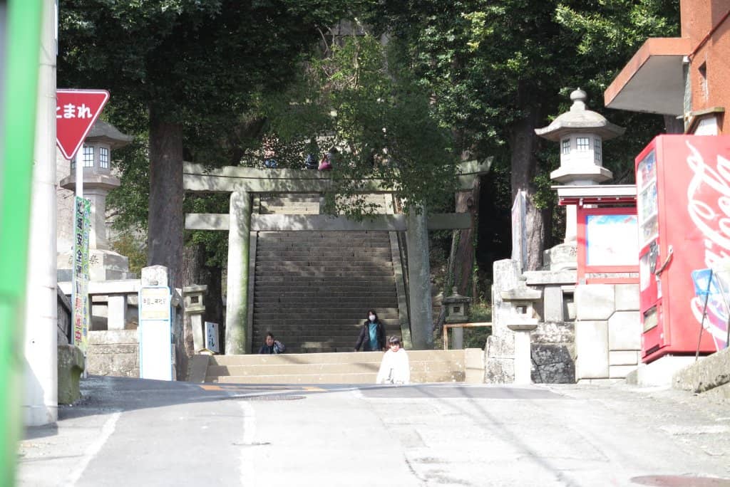 Shrine Cat Encounters
