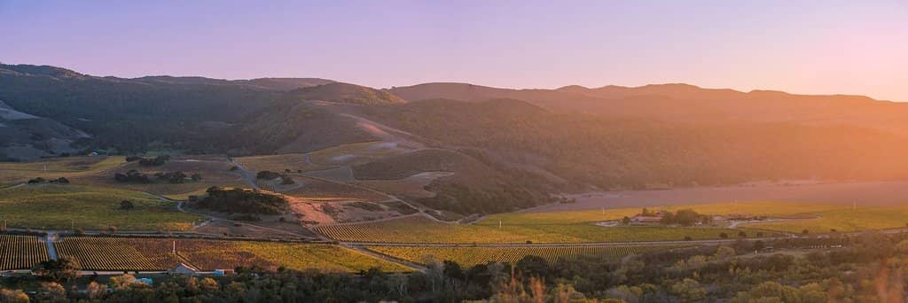 Pinot Noir & Chardonnay Tasting