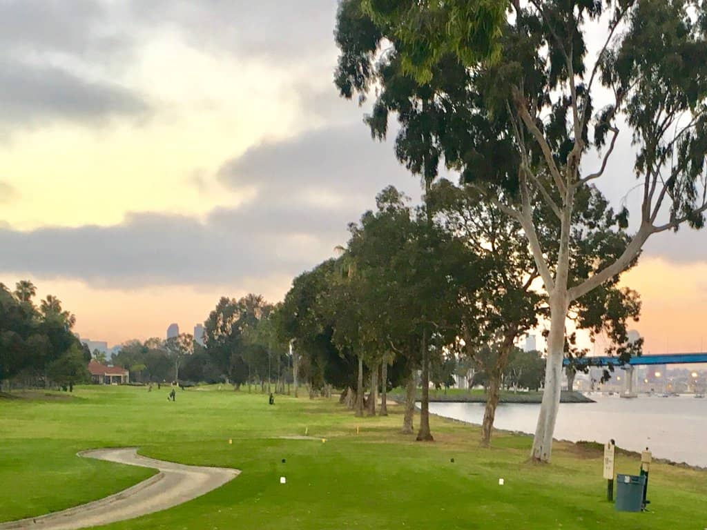 Exceptional Greens