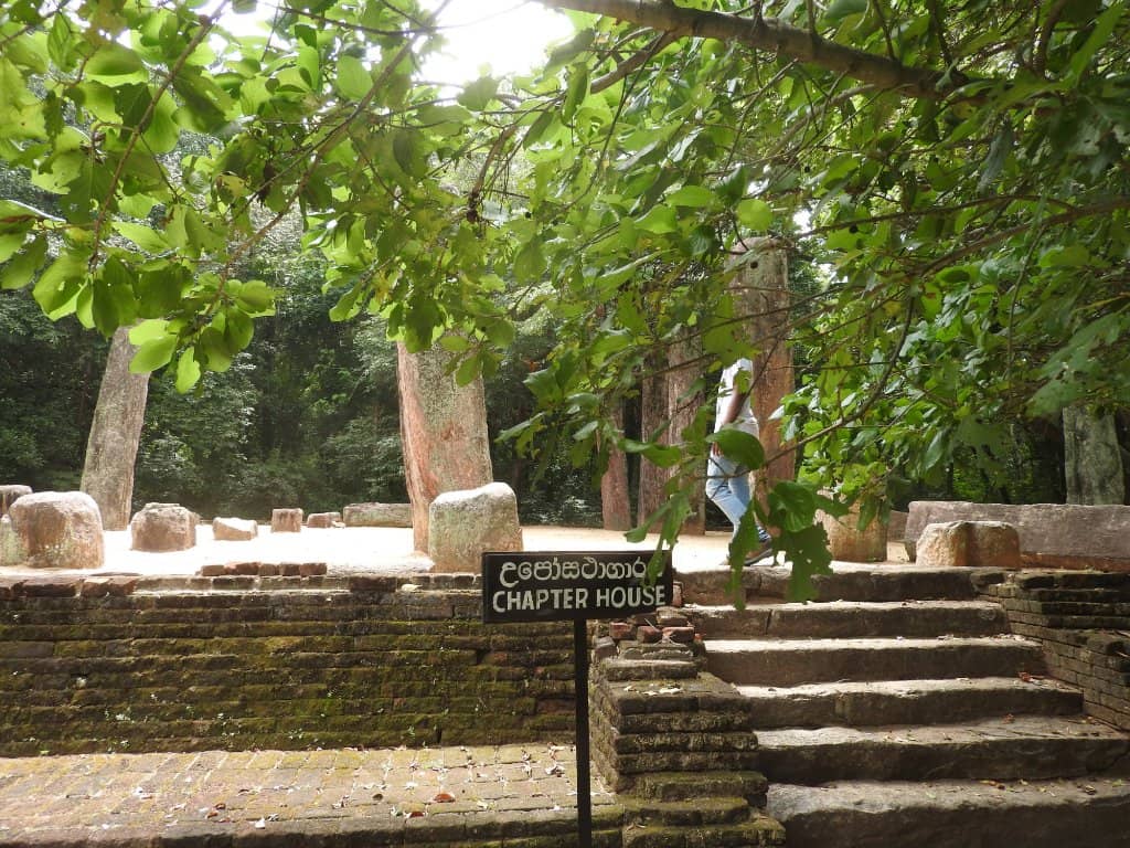 Serene Arboretum