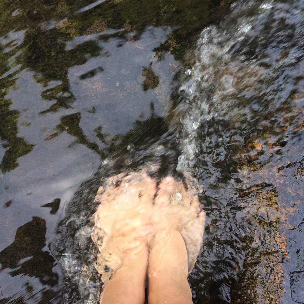 Hiking Trails