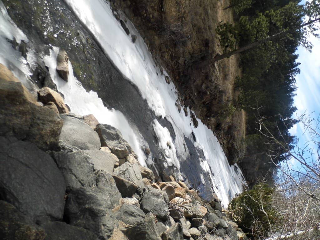 Elk Spotting Opportunities