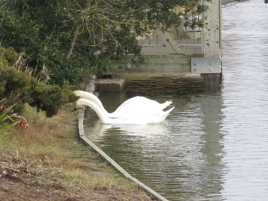 Beautifully Tended Gardens
