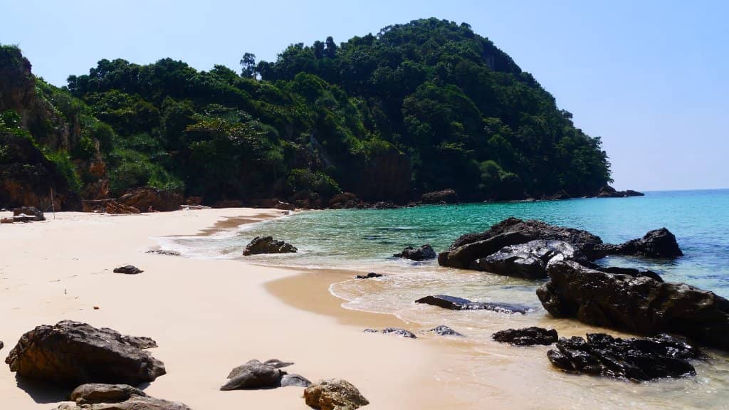 Coral Reef Snorkeling