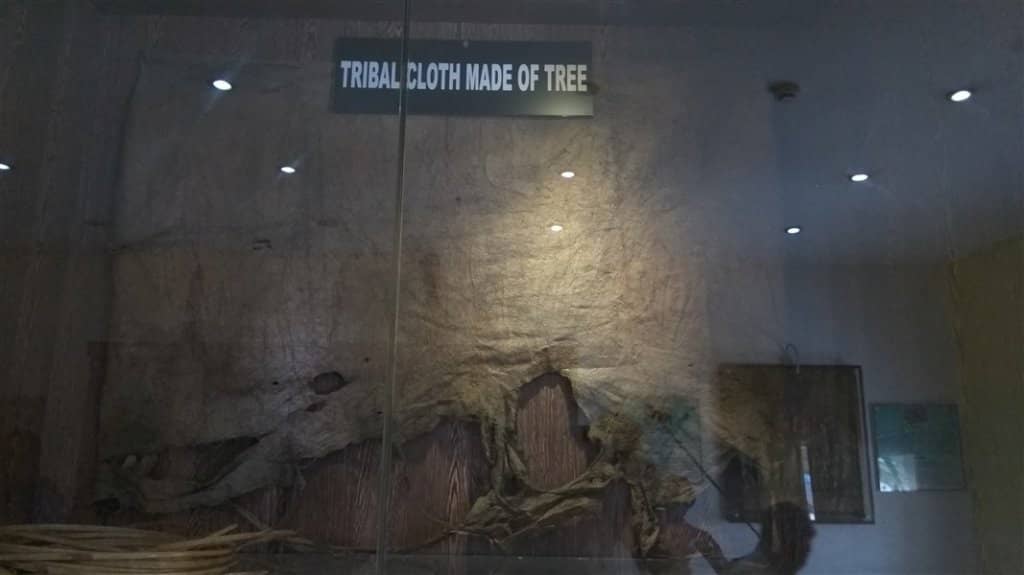 Vibrant Coral and Shell Collections