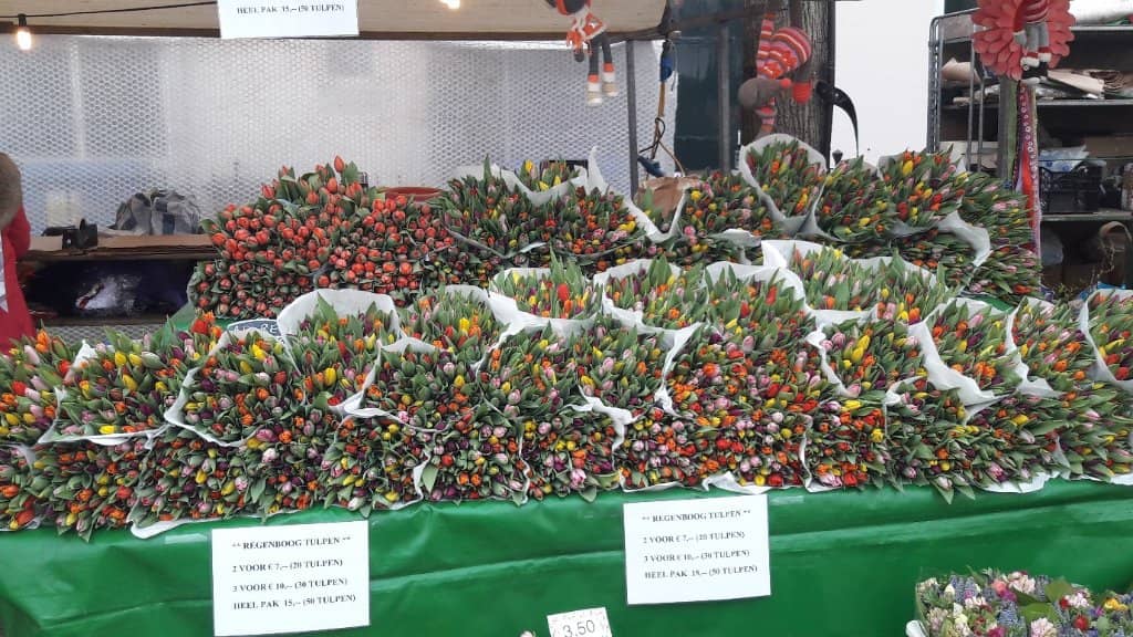 Pleasant Vendor Interactions