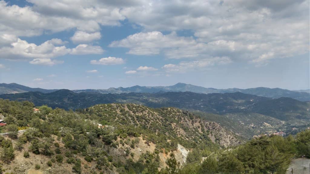 Ancient Pine Forests