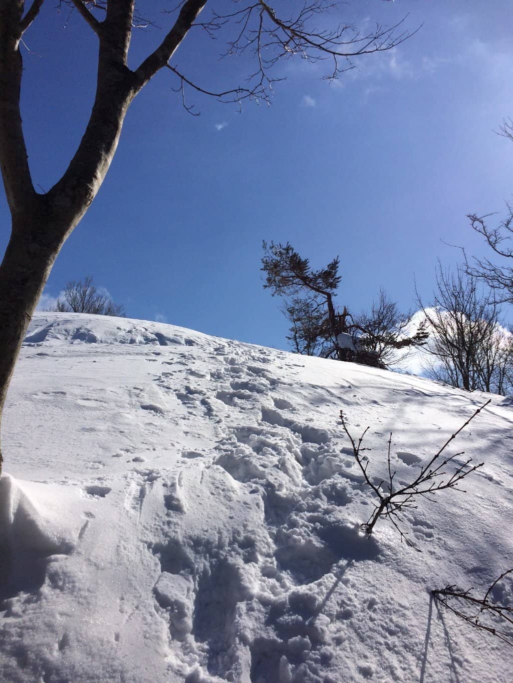 Vertical photo