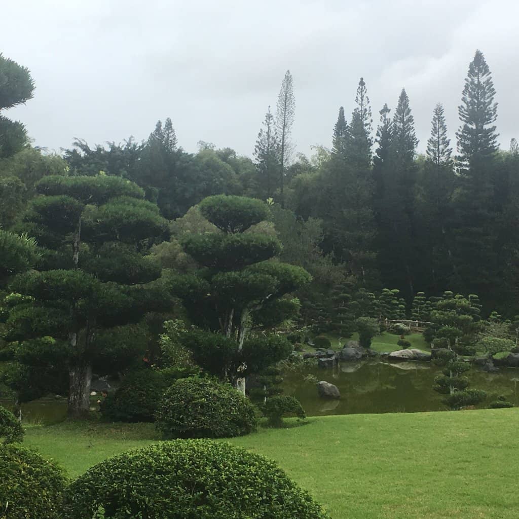 Japanese Garden