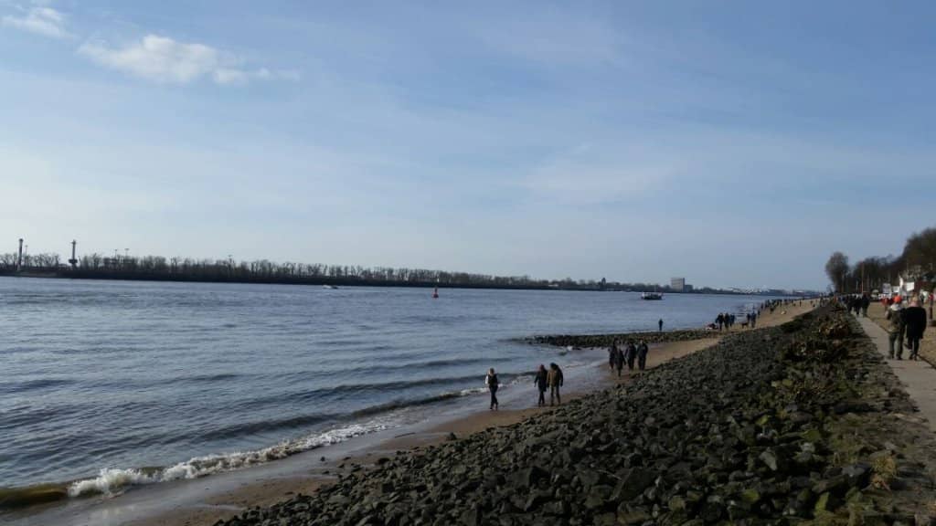 Harbor Views & Ship Watching