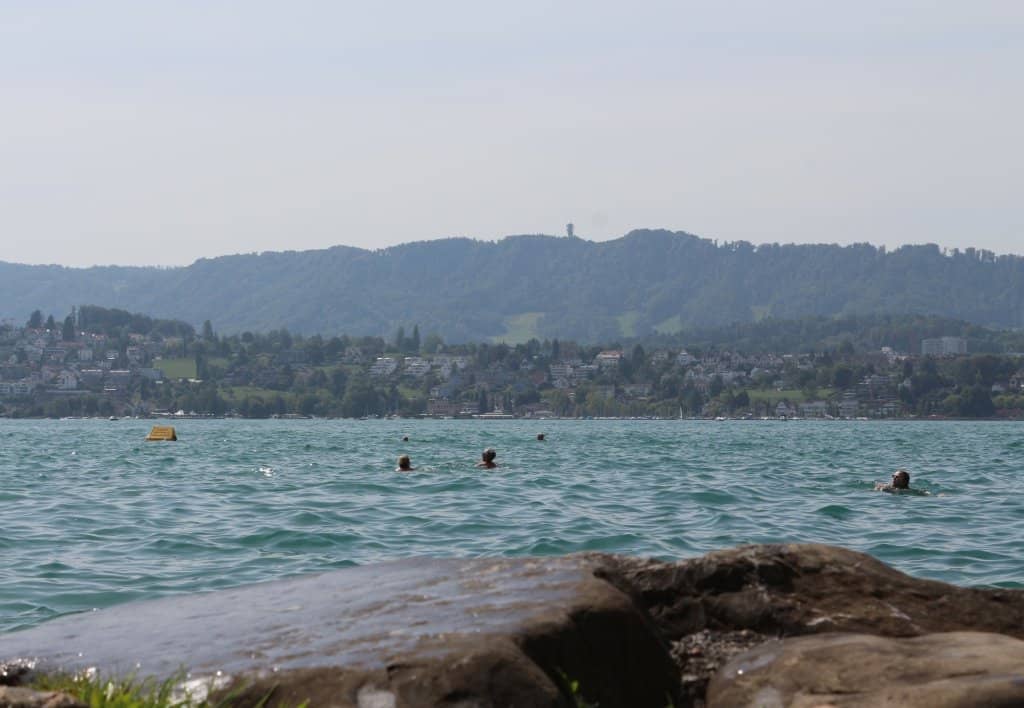 Refreshing Lake Zurich Swim