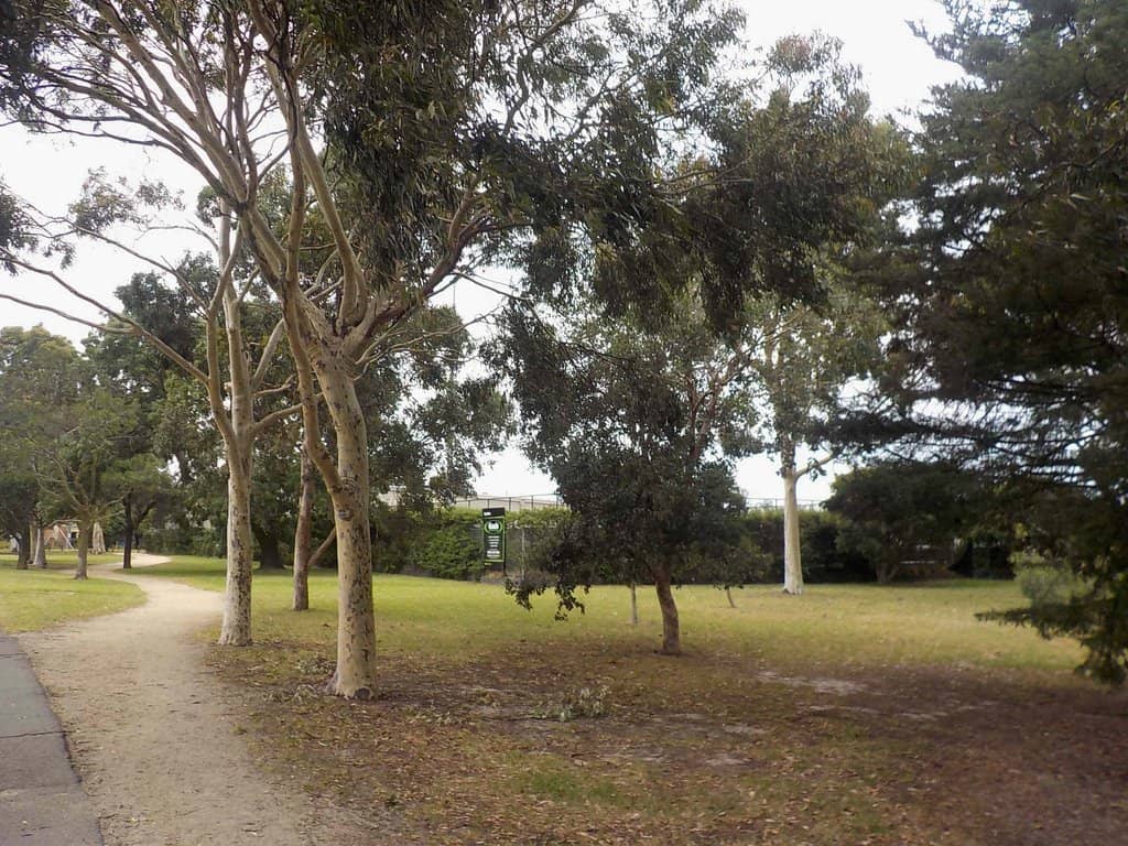 Sports Fields