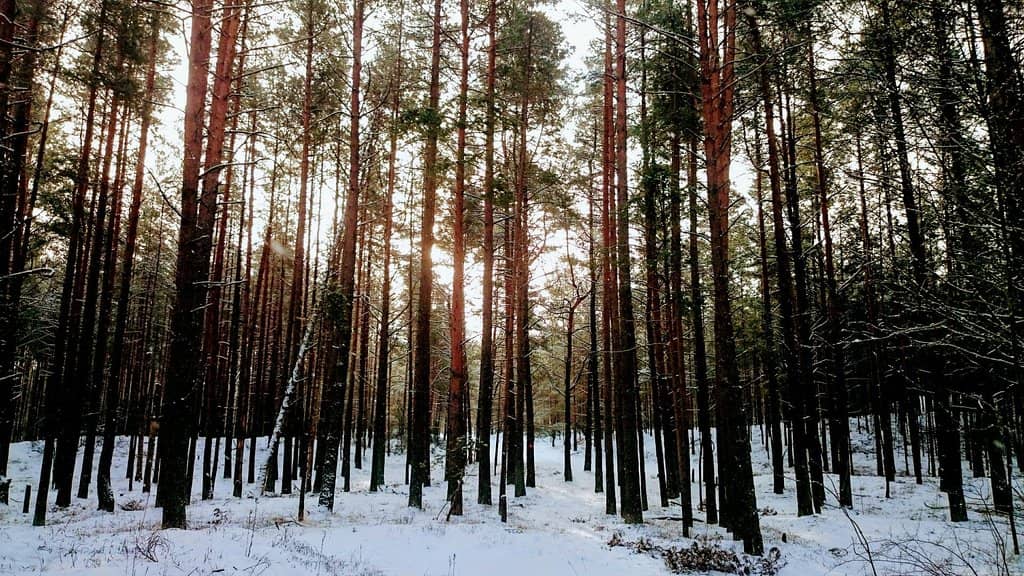 Calm, Shallow Waters