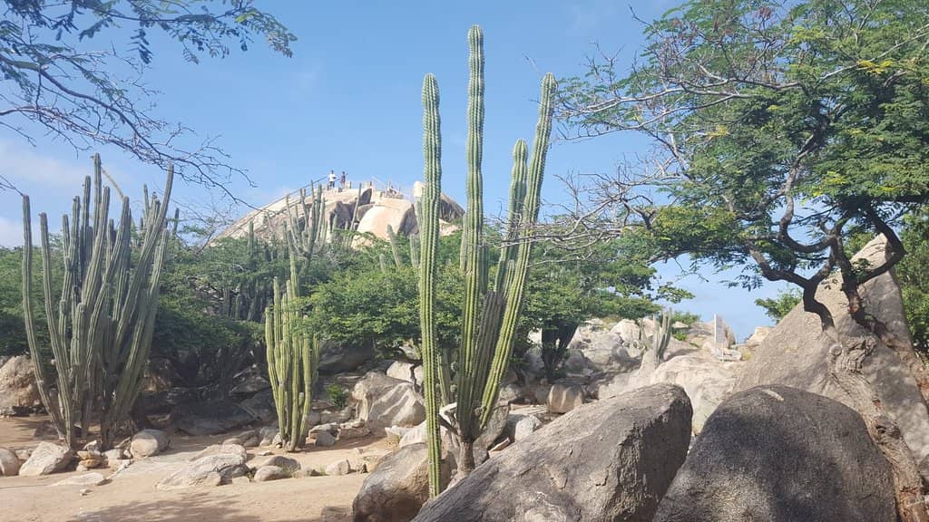Panoramic Island Views