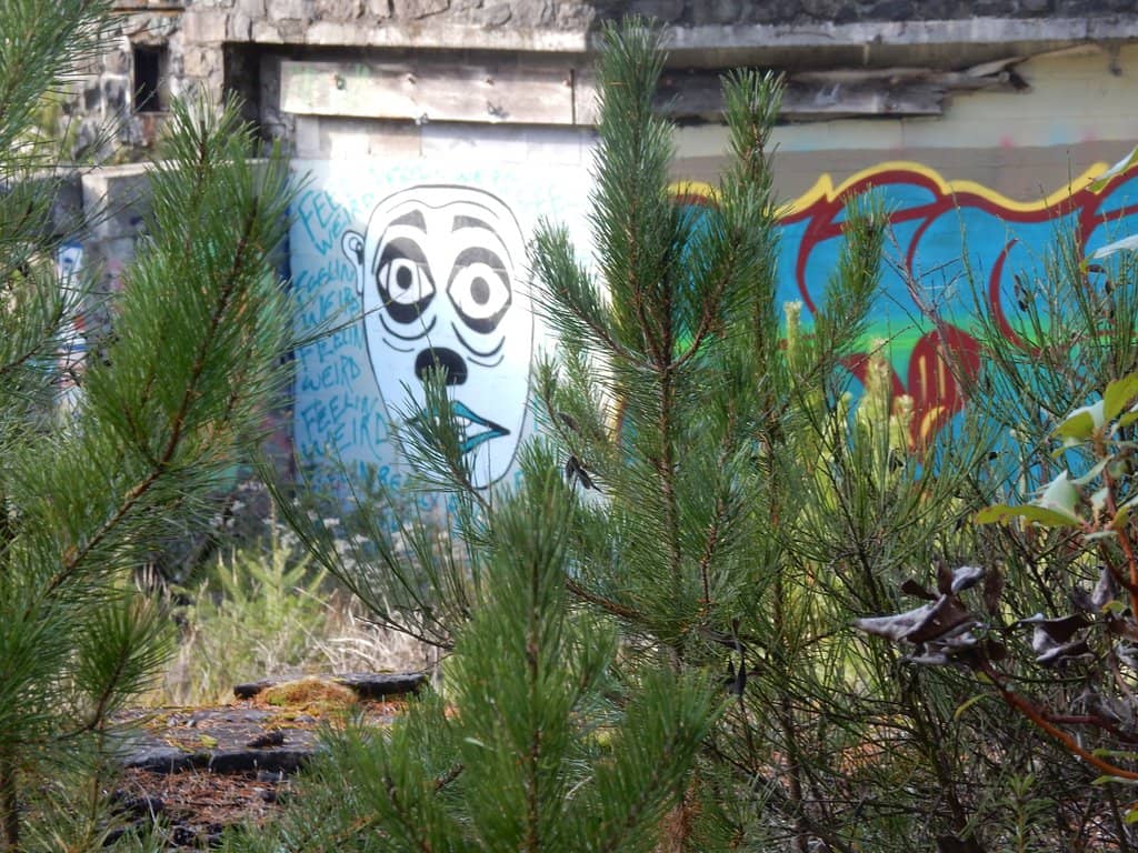 Natural Swimming Pools